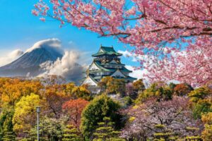 527440-shutterstock-1513825088